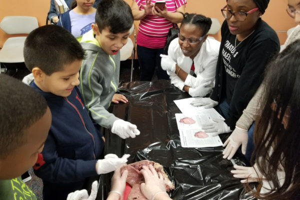 1-27-18-science-in-the-city-dissections-workshop-at-miami-lakes-library-19 Exploring Parallels Between Animal and Human Anatomy STEM Workshop at Miami Lakes Library