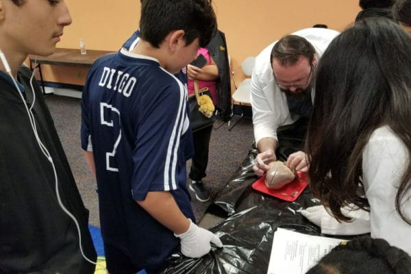 1-27-18-science-in-the-city-dissections-workshop-at-miami-lakes-library-9 Exploring Parallels Between Animal and Human Anatomy STEM Workshop at Miami Lakes Library