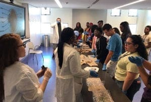 Eye Ball Dissection at Frost Museum - 11/18/17 Eye Ball Dissection at Frost Museum &#8211; 11/18/17